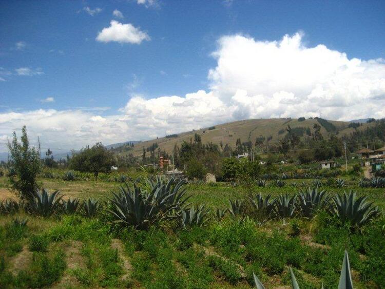 Ecuador 133.jpg Ecuador 133.jpg
