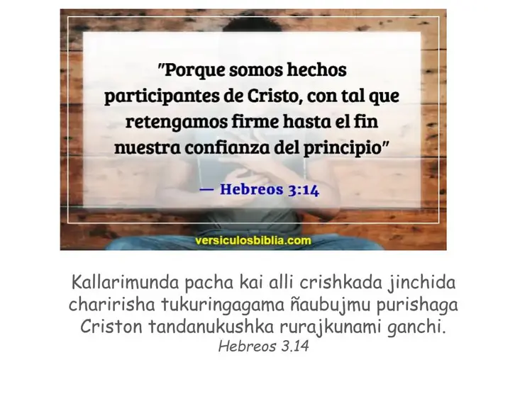 Hebrews 3:14