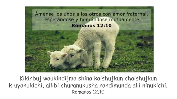 Romanos 12.10