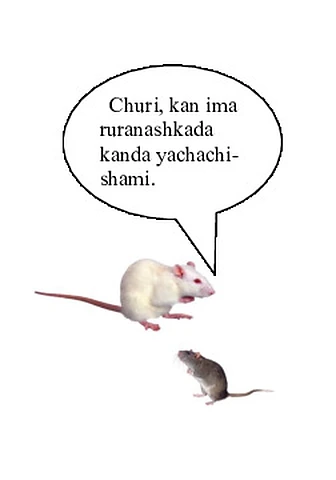 Shuj shimida yachana gangui (k/w)